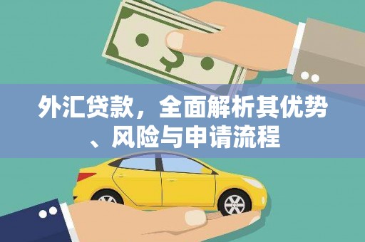 平凉外汇贷款，全面解析其优势、风险与申请流程
