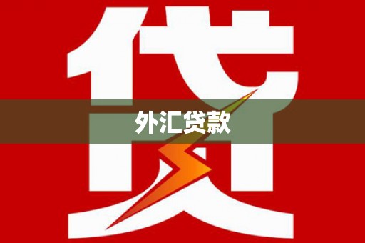 平凉外汇贷款