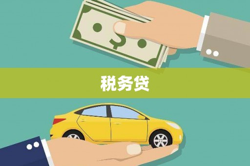 平凉税务贷