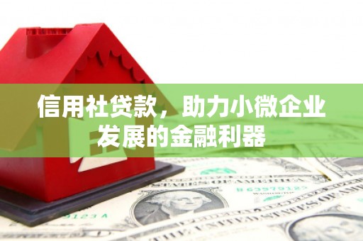 平凉信用社贷款，助力小微企业发展的金融利器