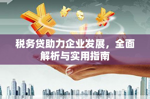 平凉税务贷助力企业发展，全面解析与实用指南