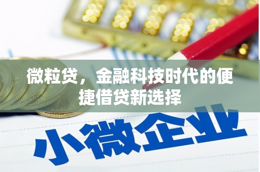 平凉微粒贷，金融科技时代的便捷借贷新选择