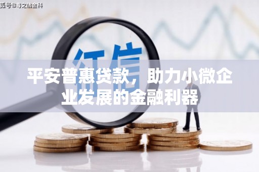 平凉平安普惠贷款，助力小微企业发展的金融利器