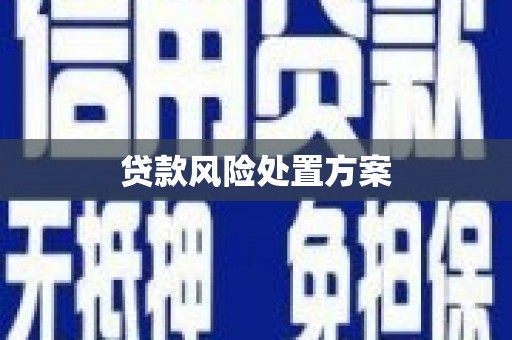 平凉贷款风险处置方案